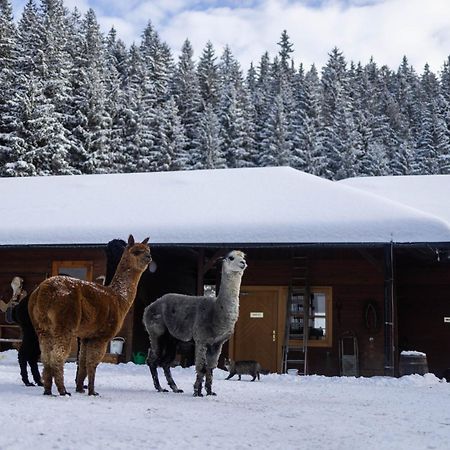 Statek U Rajmunda Zemedelska Farma Villa Velké Karlovice Esterno foto