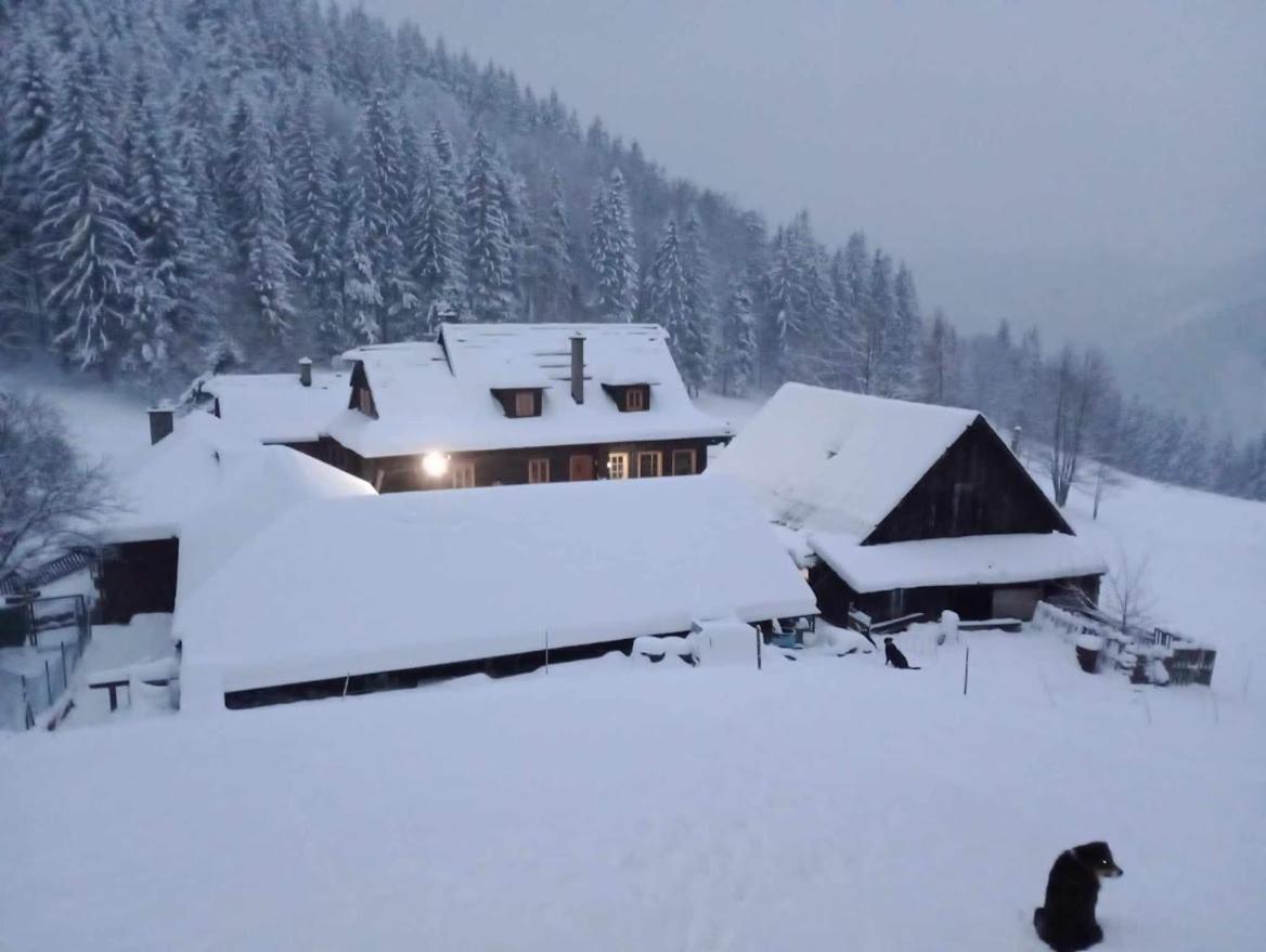 Statek U Rajmunda Zemedelska Farma Villa Velké Karlovice Esterno foto