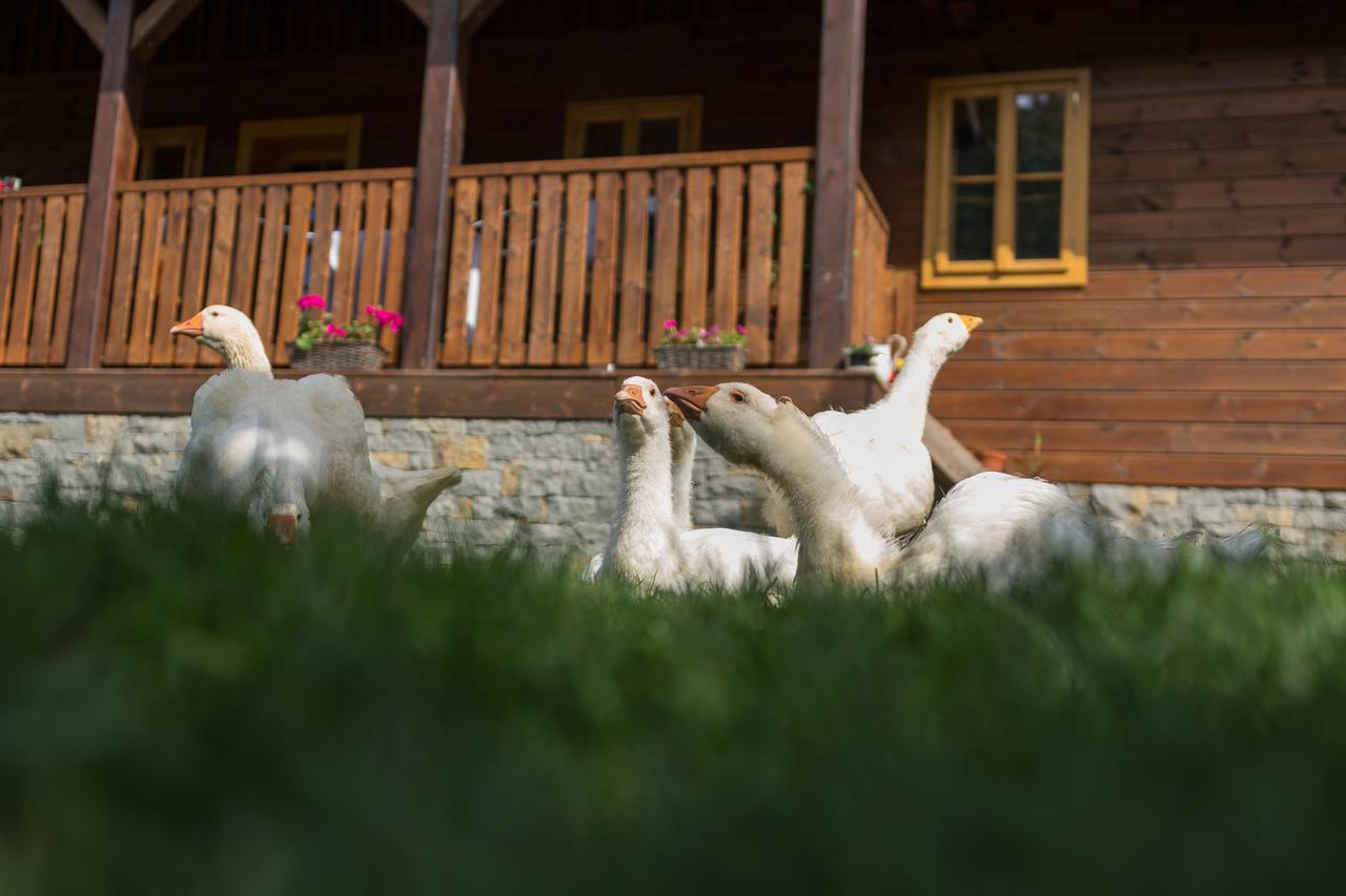 Statek U Rajmunda Zemedelska Farma Villa Velké Karlovice Esterno foto