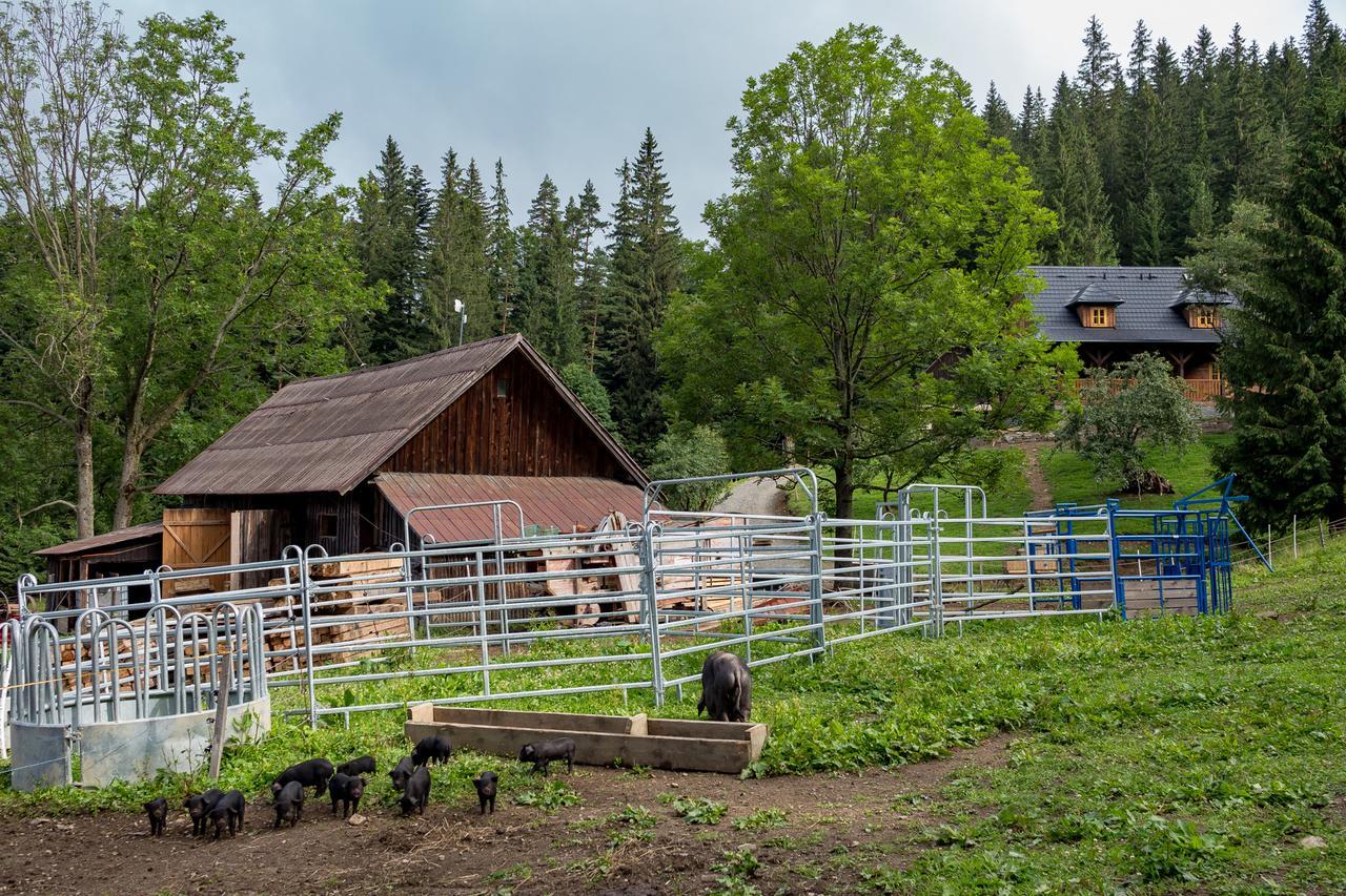 Statek U Rajmunda Zemedelska Farma Villa Velké Karlovice Esterno foto