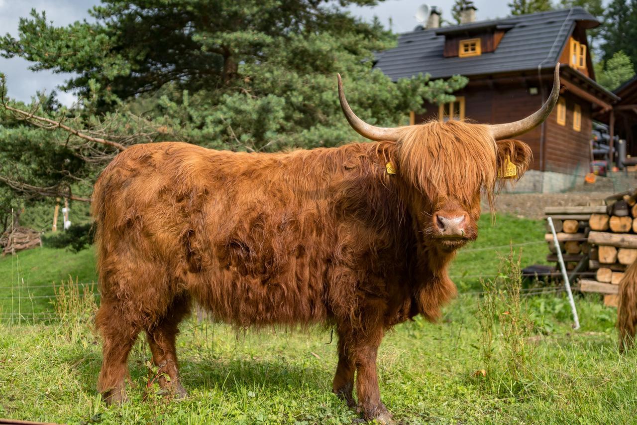 Statek U Rajmunda Zemedelska Farma Villa Velké Karlovice Esterno foto