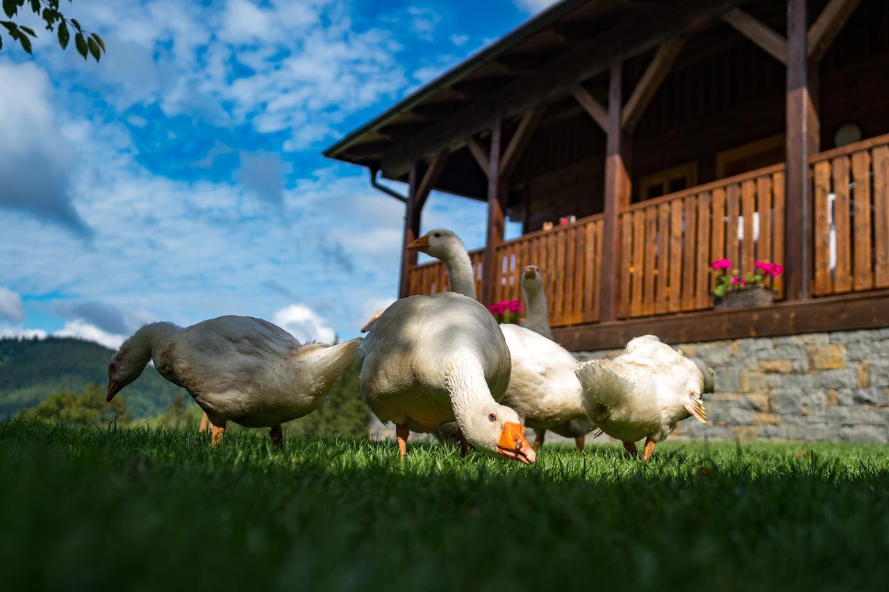 Statek U Rajmunda Zemedelska Farma Villa Velké Karlovice Esterno foto