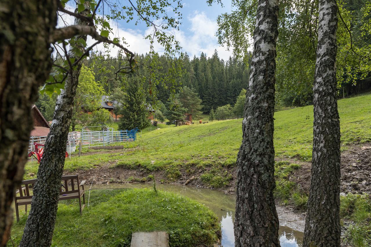 Statek U Rajmunda Zemedelska Farma Villa Velké Karlovice Esterno foto