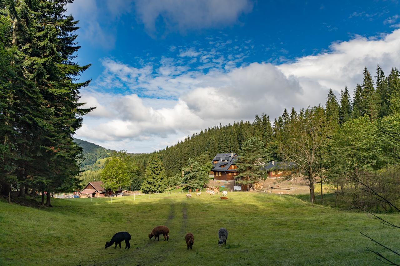 Statek U Rajmunda Zemedelska Farma Villa Velké Karlovice Esterno foto