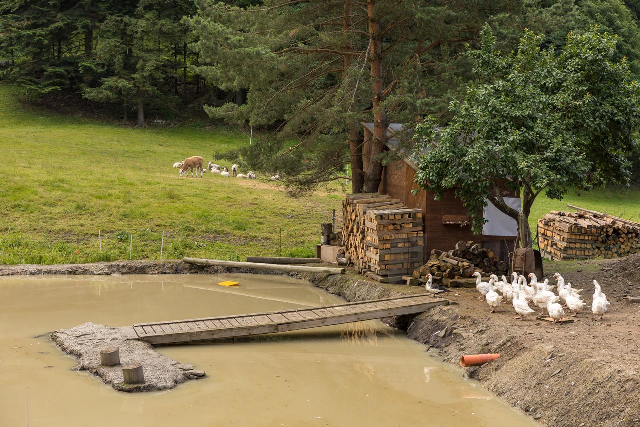 Statek U Rajmunda Zemedelska Farma Villa Velké Karlovice Esterno foto