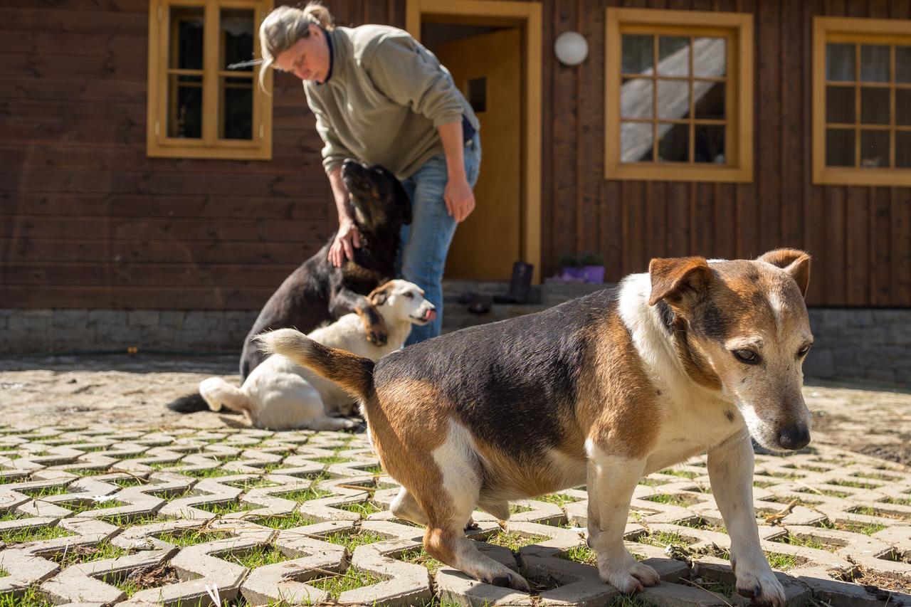 Statek U Rajmunda Zemedelska Farma Villa Velké Karlovice Esterno foto