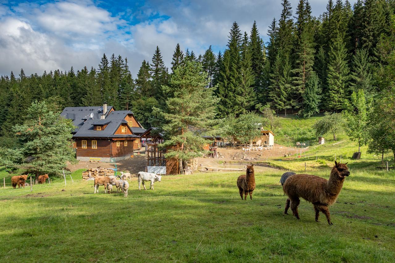 Statek U Rajmunda Zemedelska Farma Villa Velké Karlovice Esterno foto